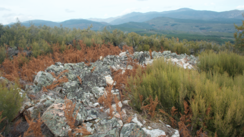 Castro de Peña Piñera (Sésamo, Vega de Espinareda)