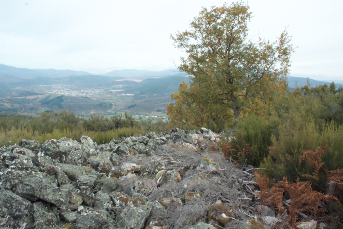 Castro de Peña Piñera (Sésamo, Vega de Espinareda) 