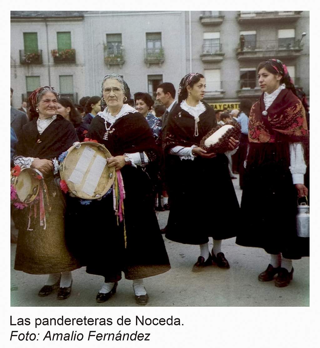 IMAGEN 5 (1) IMAGEN 5 (1)