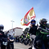 Valladolid vuelve a rugir con el desfile de banderas de Pingüinos 