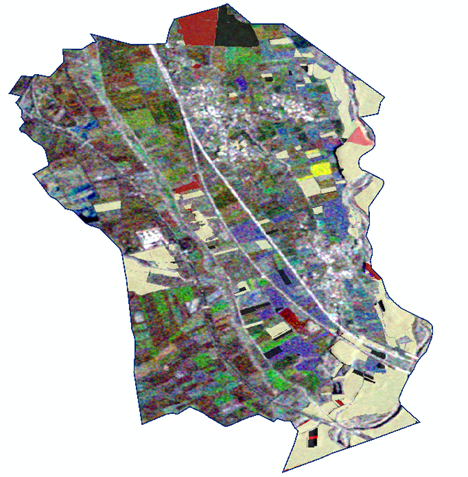 Foto 2 Bosques y Ríos Foto 2 Bosques y Ríos