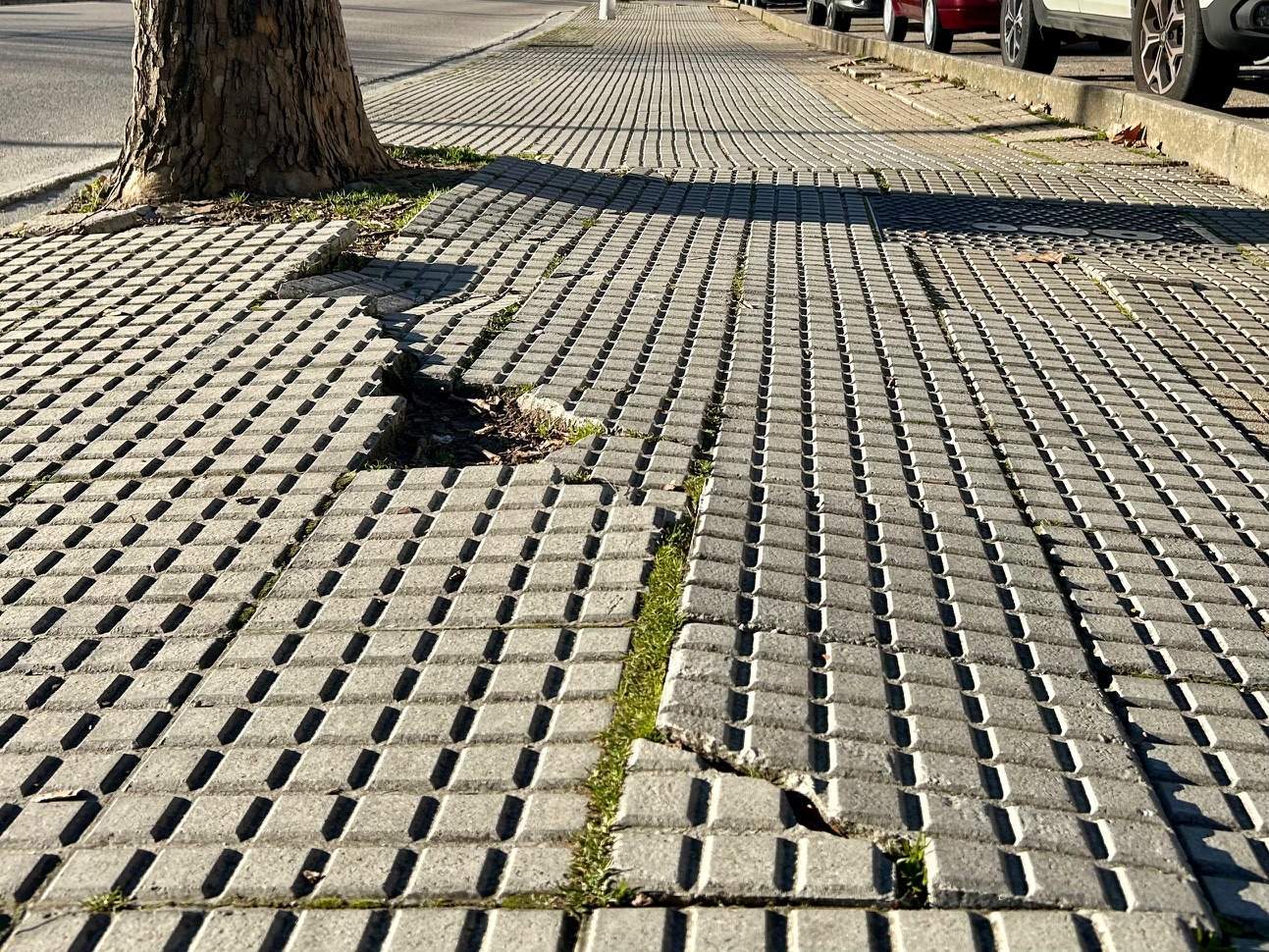 Aceras en la Avda Castillo de Ponferrada Aceras en la Avda Castillo de Ponferrada
