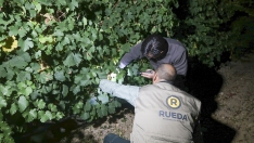 ICAL. Jesús Díez de Iscar, director técnico de la DO Rueda, revisa el viñedo junto a un veedor de la DO Rueda ICAL. Jesús Díez de Iscar, director técnico de la DO Rueda, revisa el viñedo junto a un veedor de la DO Rueda