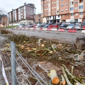 Retirada de los plataneros de la avenida del Castillo de Ponferrada 
