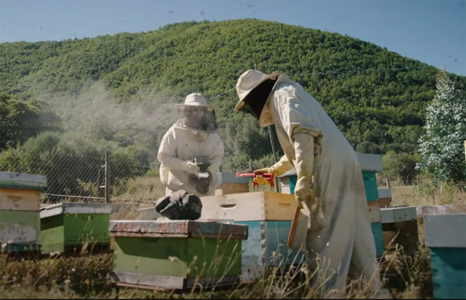 video fitur bierzo video fitur bierzo