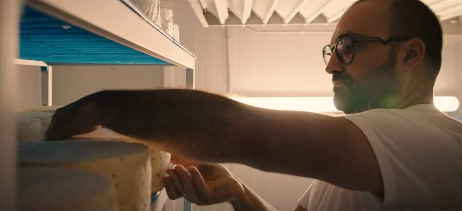 video fitur bierzo 1 video fitur bierzo 1