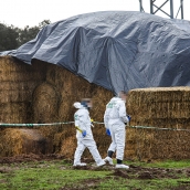 La Guardia Civil "no descarta ninguna posibilidad" sobre el fallecimiento del joven que apareció en una finca en Sanjuanejo (Salamanca)