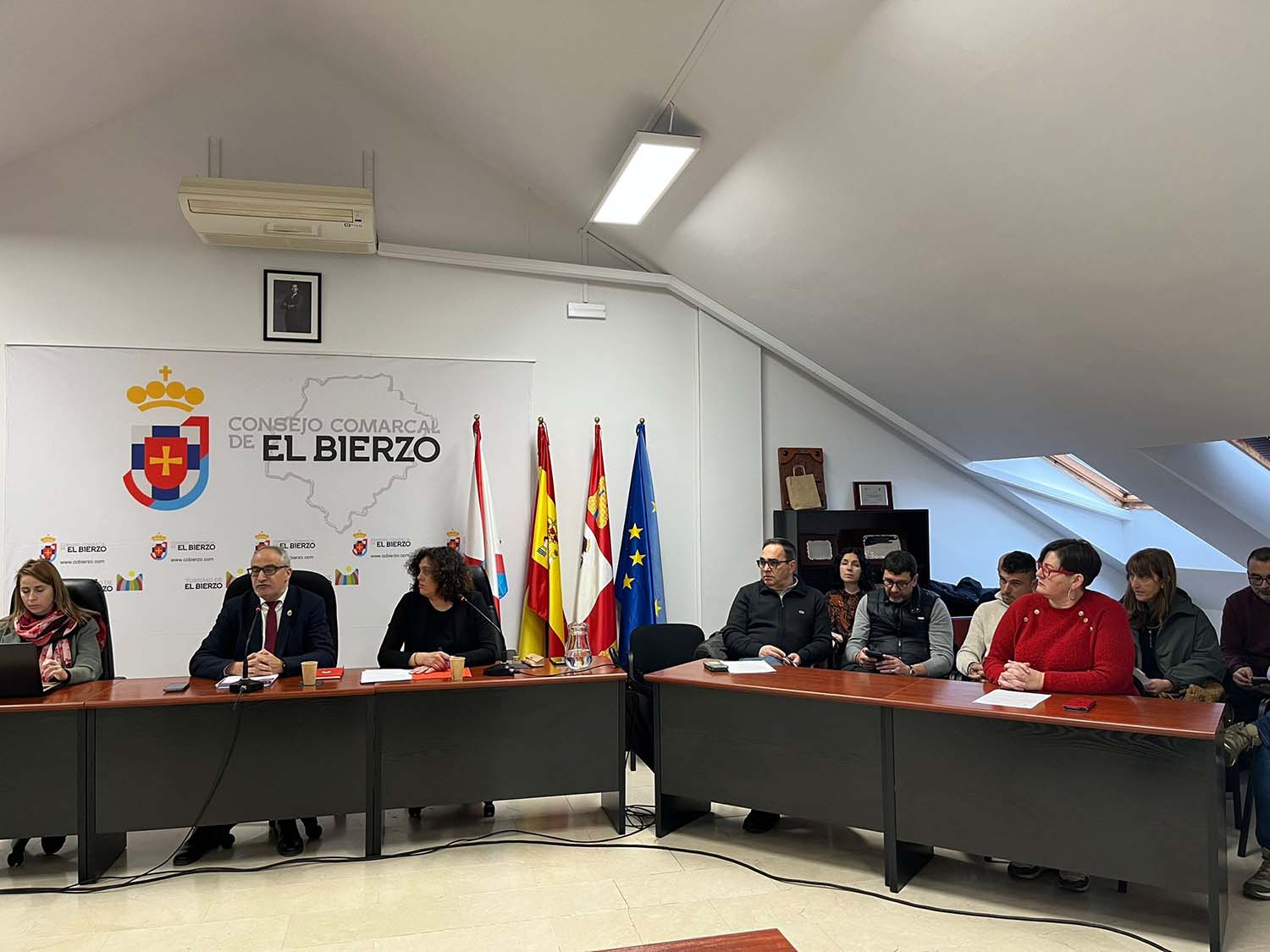 Pleno del Consejo Comarcal del Bierzo 