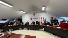 Pleno del Consejo Comarcal del Bierzo.