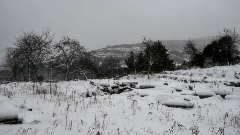 La borrasca Herminia deja un manto de nieve en San Cristobal de Valdueza  (8)