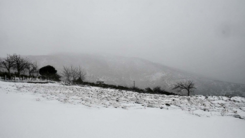 La borrasca Herminia deja un manto de nieve en San Cristobal de Valdueza  (32)