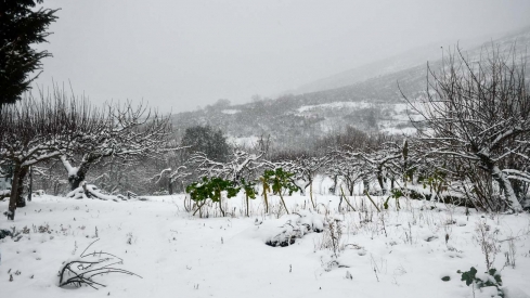 La borrasca Herminia deja un manto de nieve en San Cristobal de Valdueza  (24)