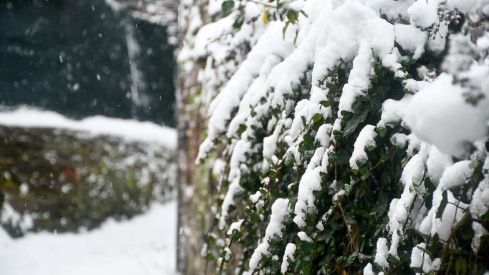 La borrasca Herminia deja un manto de nieve en San Cristobal de Valdueza  (23)
