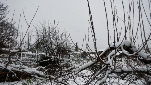 La borrasca Herminia deja un manto de nieve en San Cristobal de Valdueza  (22)