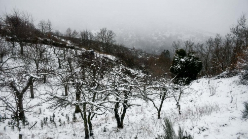 La borrasca Herminia deja un manto de nieve en San Cristobal de Valdueza  (21)