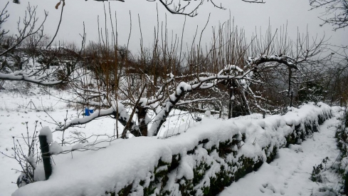 La borrasca Herminia deja un manto de nieve en San Cristobal de Valdueza  (20)
