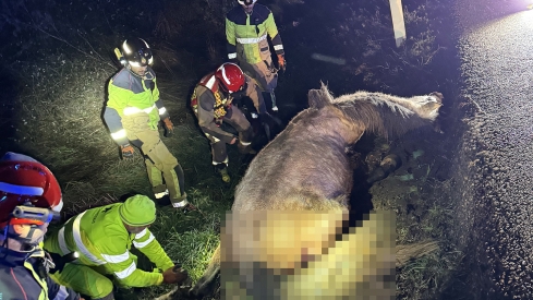 Un herido tras chocar contra un caballo en la N 120 en Villarejo de Órbigo