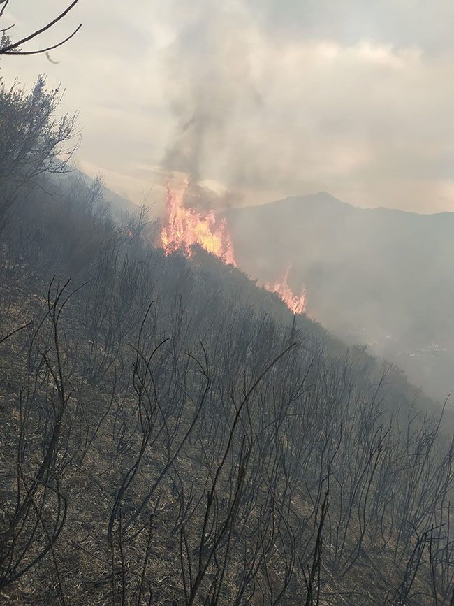 incendio oencia incendio oencia