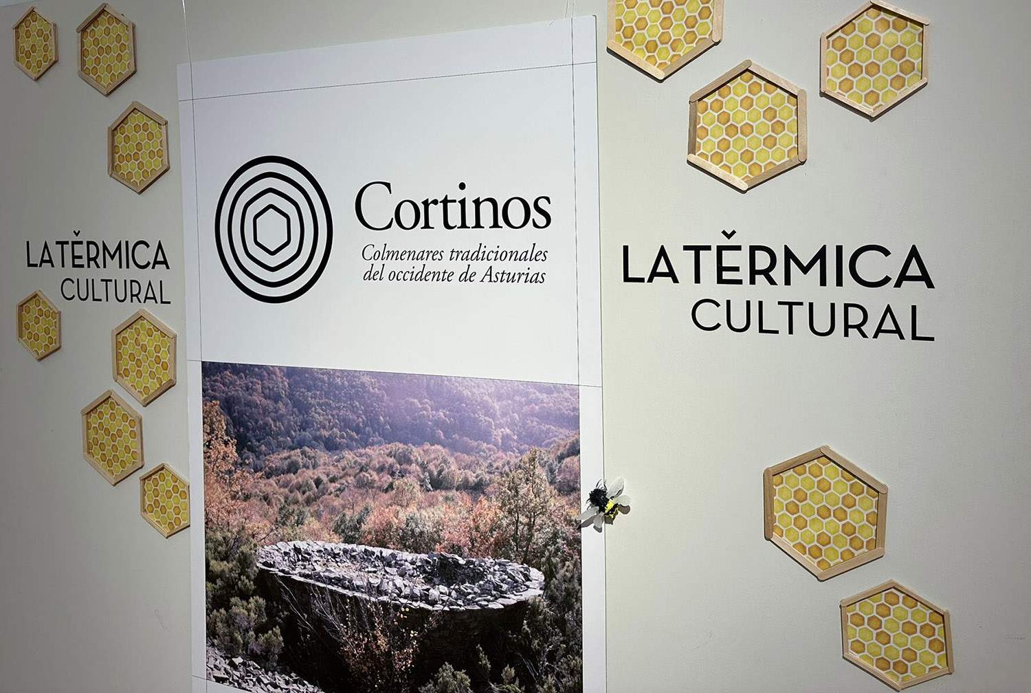 Exposicion Cortinos.