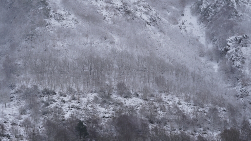 Laciana se viste de blanco tras el paso de la borrasca Ivo | César Sánchez / ICAL