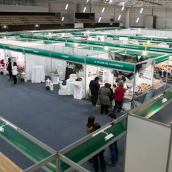 Imagen de la Feria Agroalimentaria de Bembibre