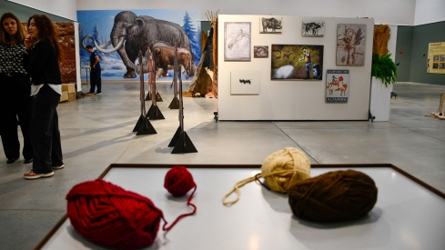 'La Marcha negra' y 'Las huellas de Altamira' (16) 'La Marcha negra' y 'Las huellas de Altamira' (16)