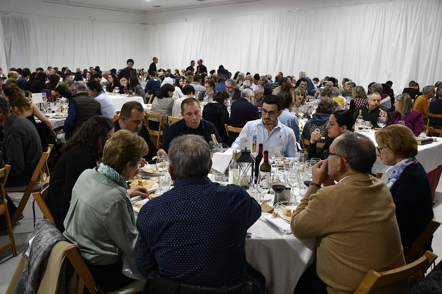 Festival del Botillo de Fabero 2025 | Dani Merino