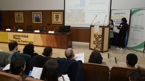 Jóvenes bercianos y gallegos exponen iniciativas para conseguir ciudades sostenibles en el Congreso de Jóvenes Expertos | César Sánchez / ICAL