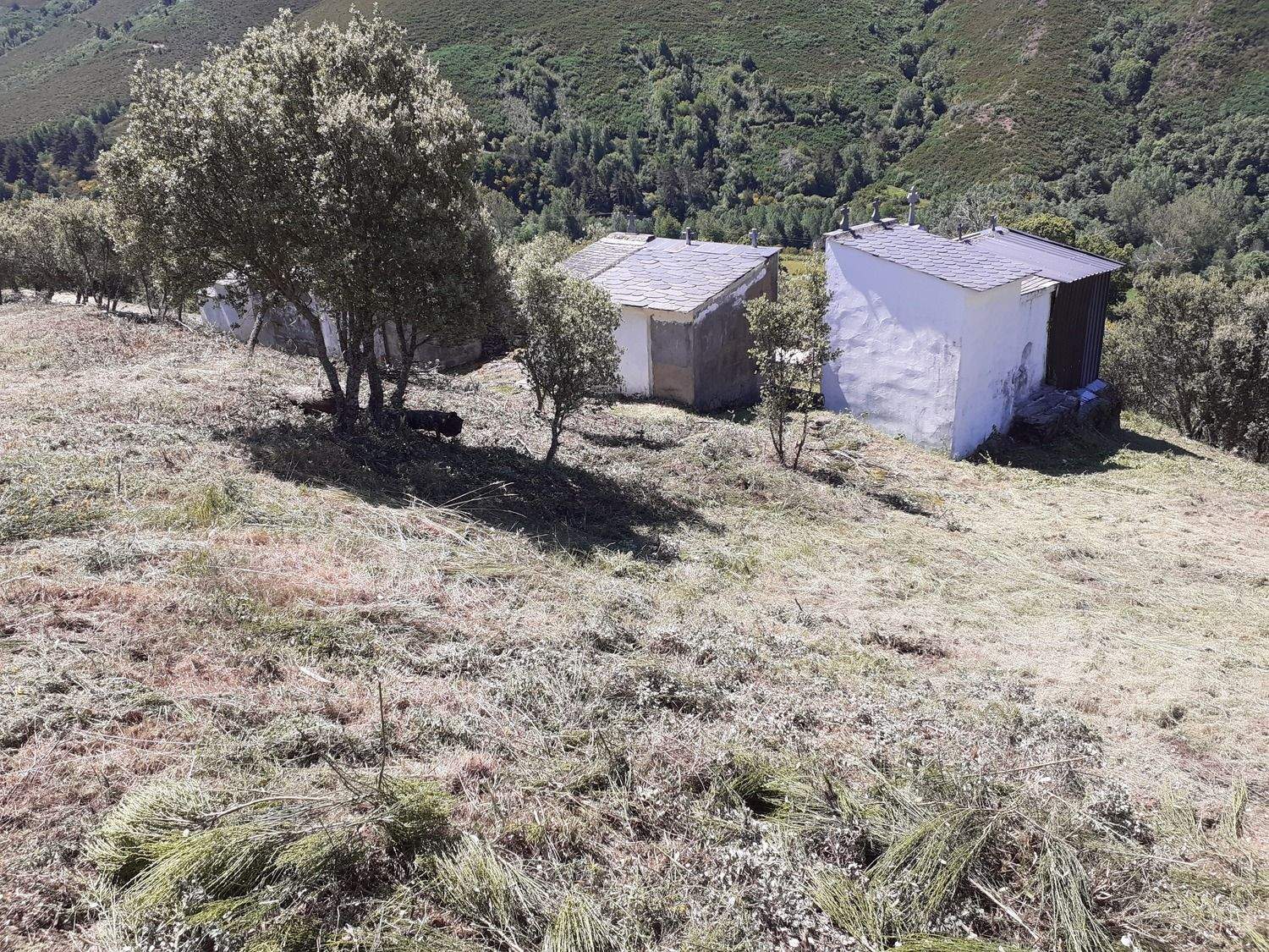 Estado de una de las zonas en las que se actuó con el Plan Montel | 