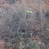 Rescate perro por los Bomberos de Ponferrada