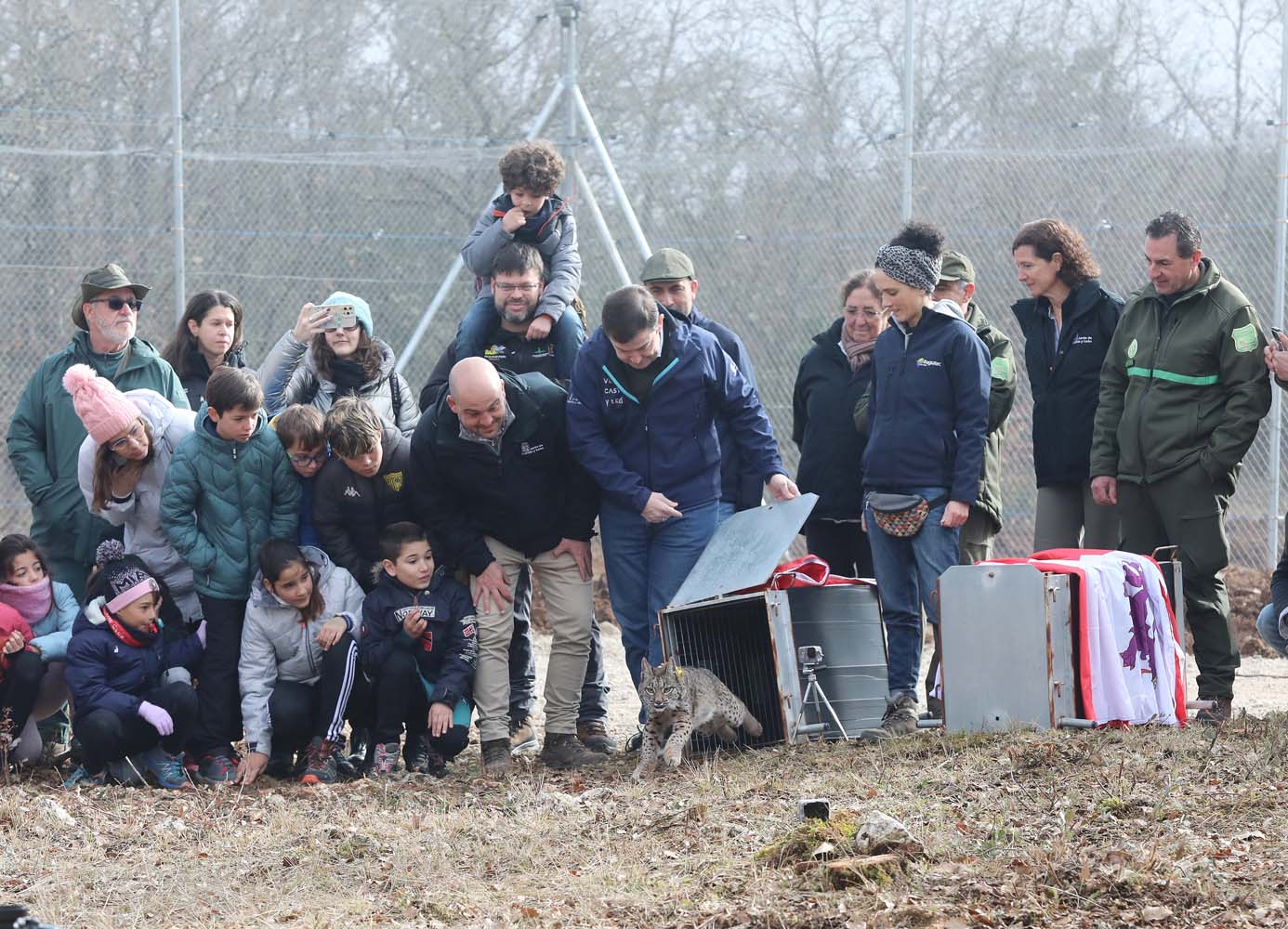 Acto de liberación de linces ibéricos en el Cerrato palentino 