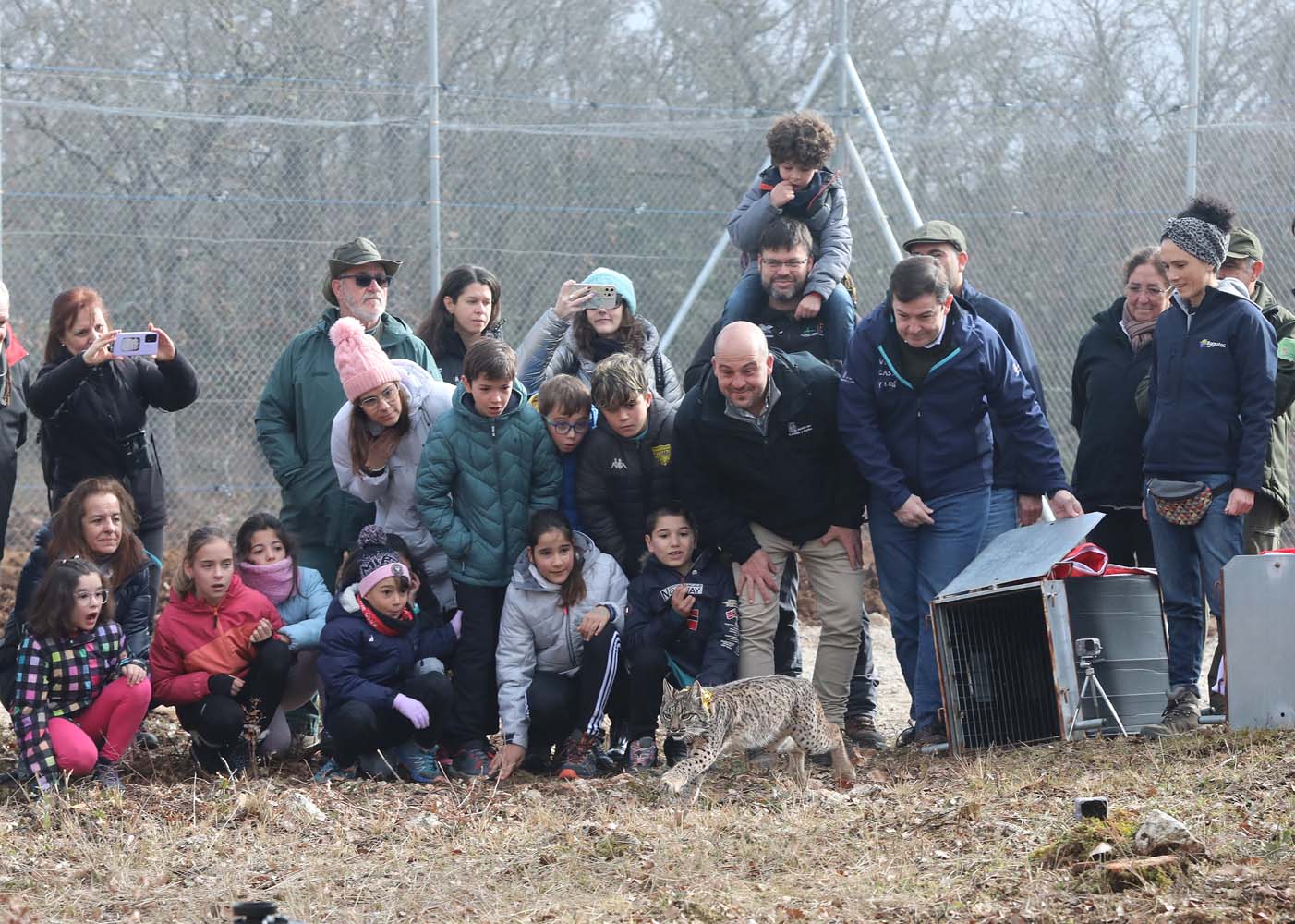 Acto de liberación de linces ibéricos en el Cerrato palentino 