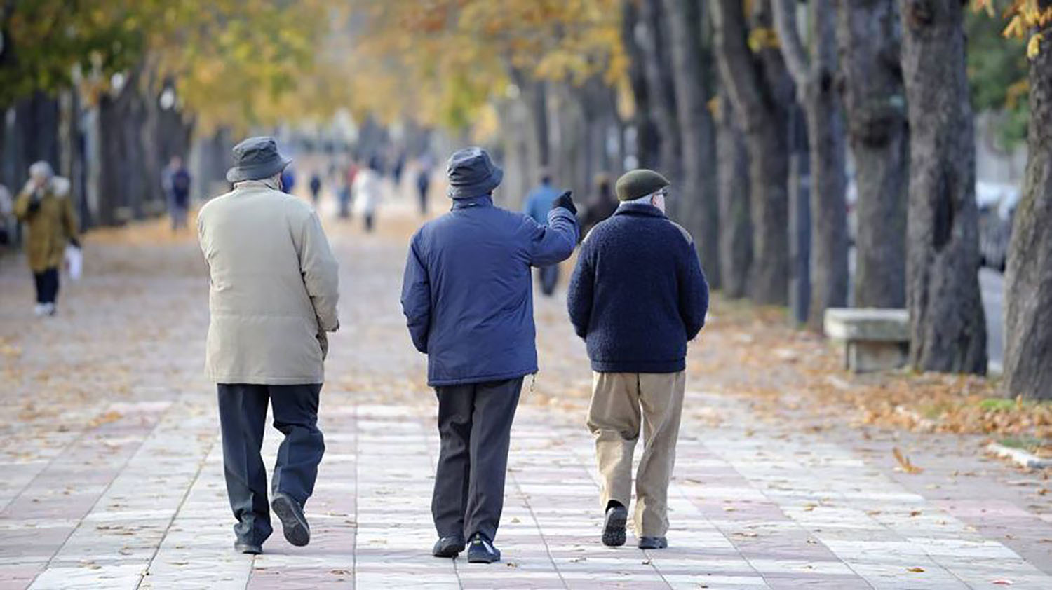 Pensionistas Ponferrada