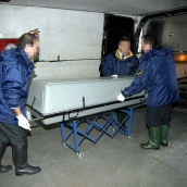 Instituto de Medicina Legal Instituto de Medicina Legal