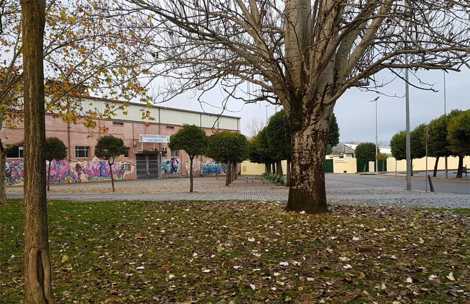 Pabellón de Flores del Sil Pabellón de Flores del Sil