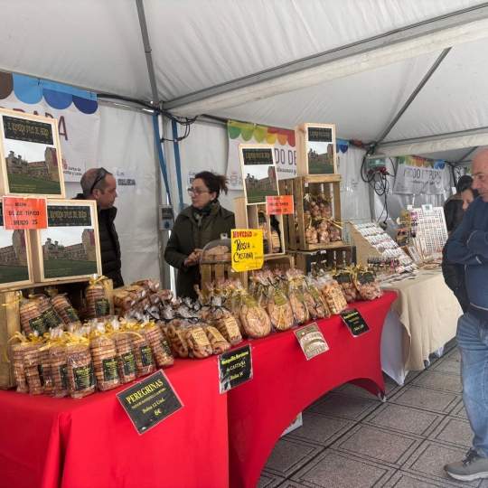 Mercado de Invierno de Ponferrada (5)