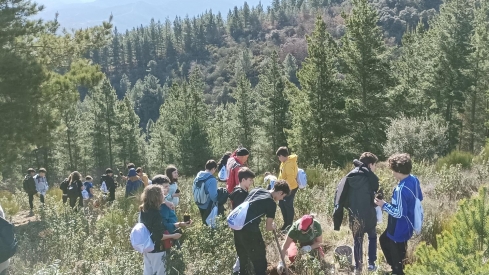 Imagen de archivo de niños repoblando un bosque en la provincia de León| Calzadilla de los Hermanillos (León) creará un ‘Bosque de los sueños’ con la plantación de 120 robles