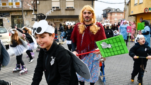 Desfile de Carnaval de Camponaraya 2025 (33)