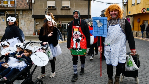 Desfile de Carnaval de Camponaraya 2025 (37)