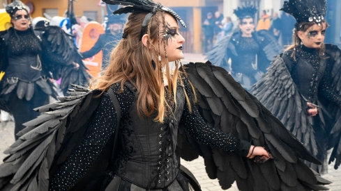 Desfile de Carnaval de Camponaraya 2025 (43)