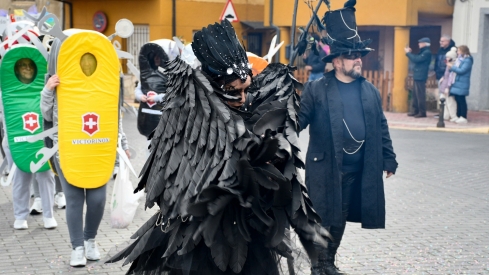 Desfile de Carnaval de Camponaraya 2025 (44)