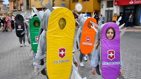 Desfile de Carnaval de Camponaraya 2025 (46)