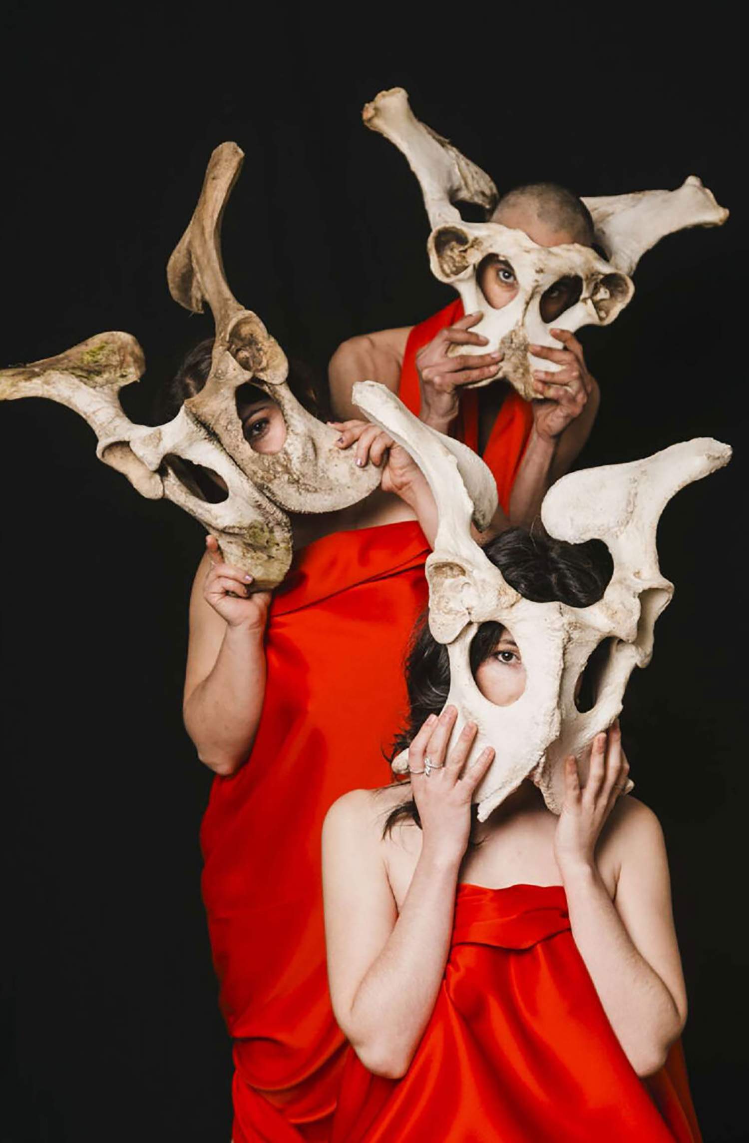 Palomica Lloca Palomica Lloca