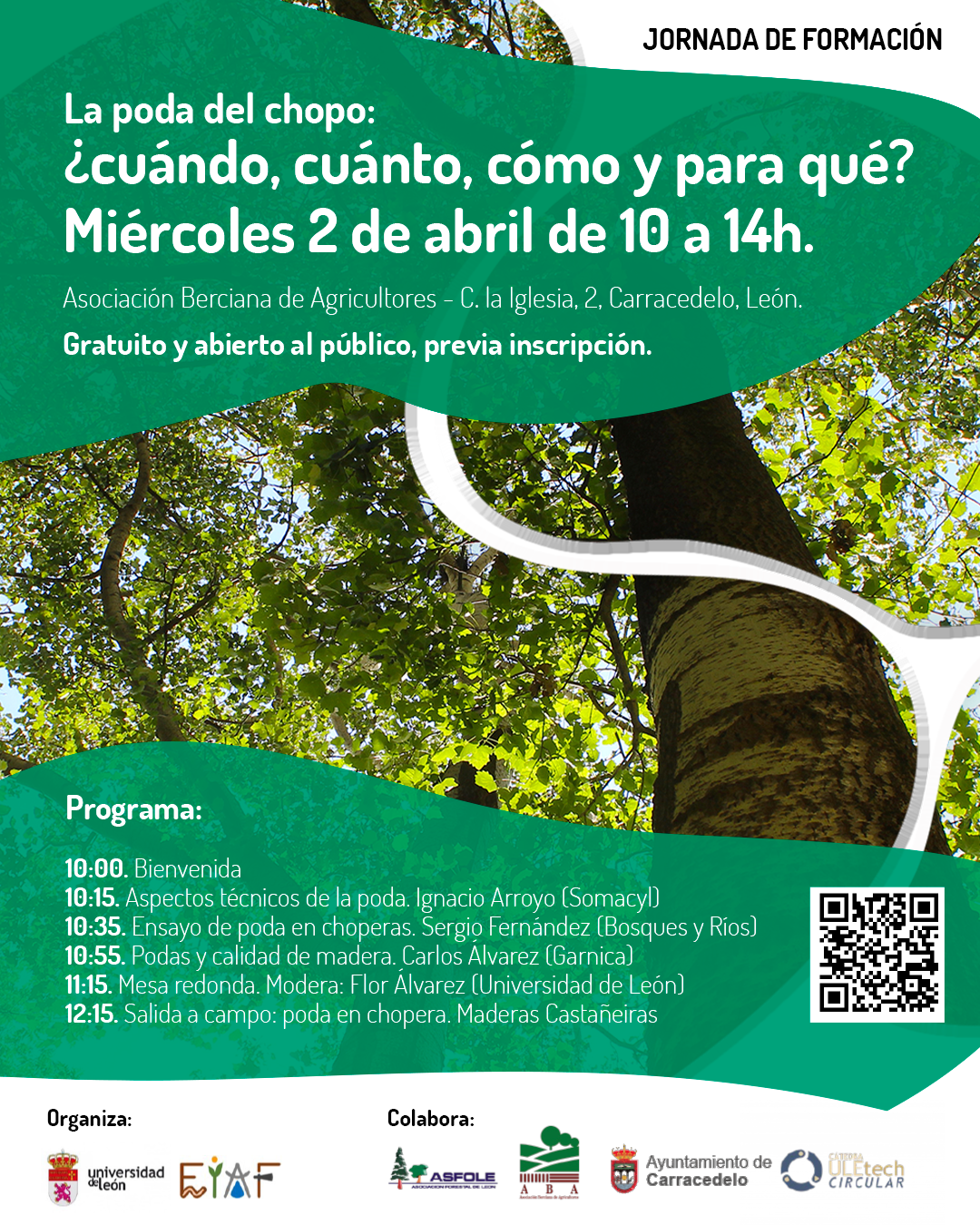 Programa jornada chopos