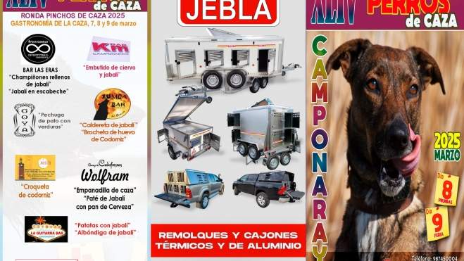 Feria de Perros de caza en Camponaraya