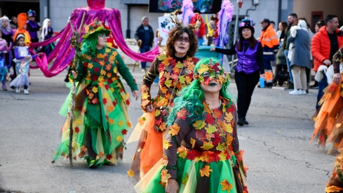 Desfile de Carnaval de Torre del Bierzo 66