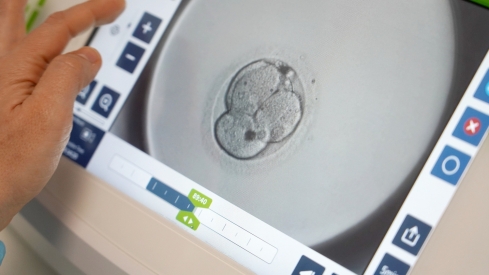 Castilla y León trabaja ya en su registro de objetores de conciencia para la interrupción voluntaria del embarazo