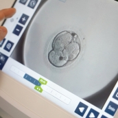 Castilla y León trabaja ya en su registro de objetores de conciencia para la interrupción voluntaria del embarazo