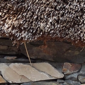 Seminario poblamiento y arquitectura tradicional en Ancares.