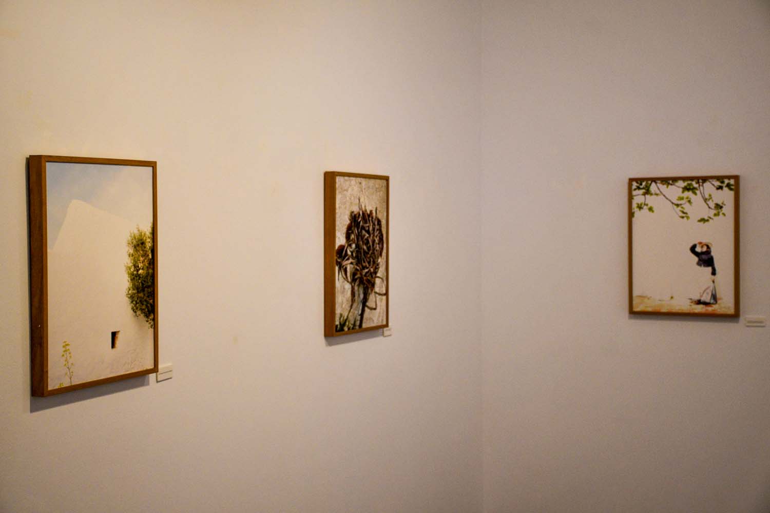 Inauguración de la temporada expositiva en el Campus de Ponferrada Inauguración de la temporada expositiva en el Campus de Ponferrada